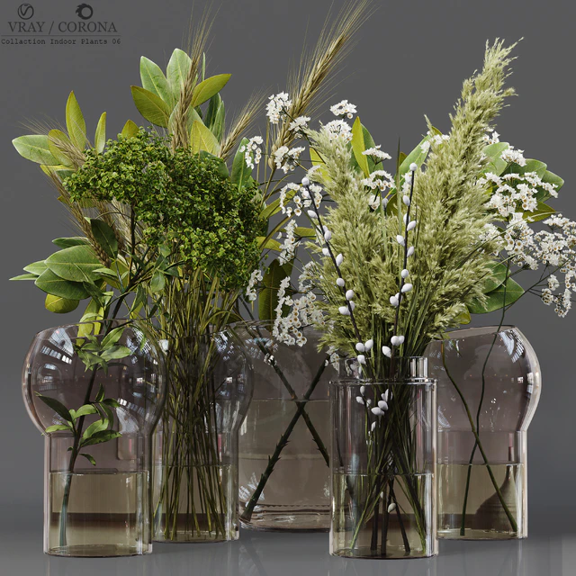 Collaction Indoor Plants 06 — Скачать