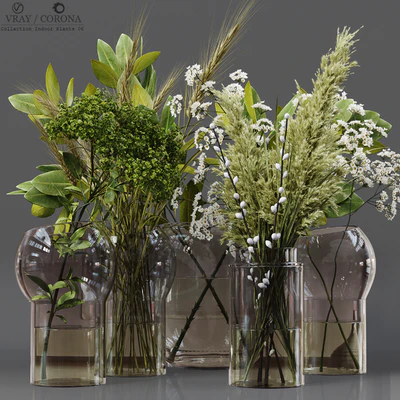 Collaction Indoor Plants 06 — Вид 1