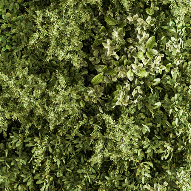 Vertical Garden Wood Frame - Wall Decor 33 — Descargar
