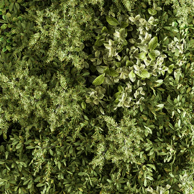 Vertical Garden Wood Frame - Wall Decor 33 — Ver 5