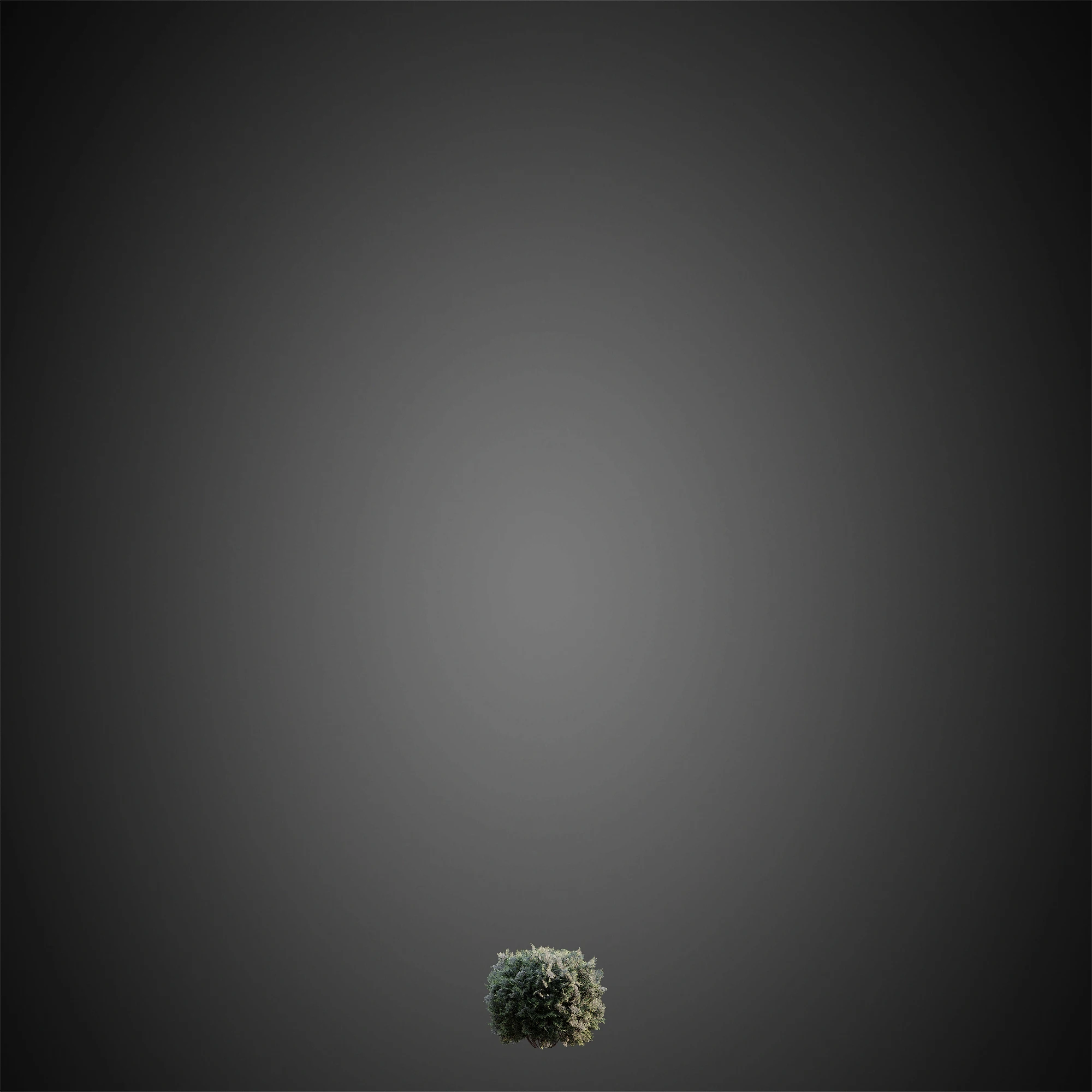 035 — Download