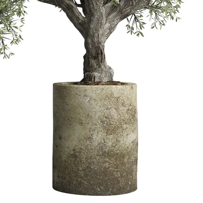 Collection outdoor plant 38 pot old olive tree concrete old vase — Ver 6