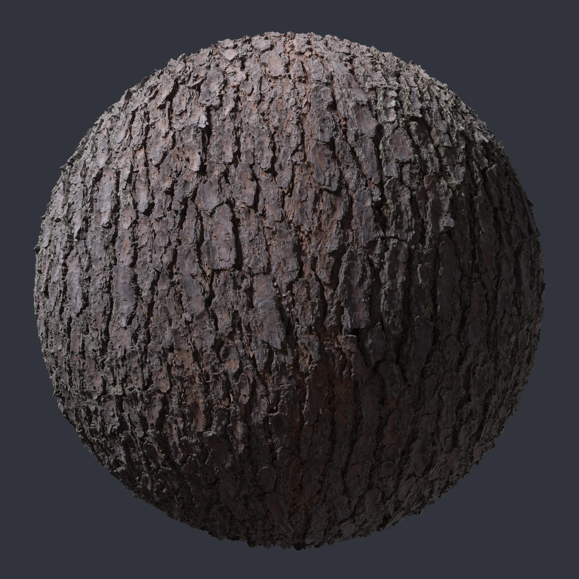 pine bark 003 — Скачать