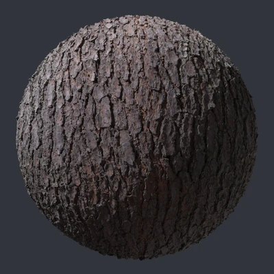 pine bark 003 — скачать