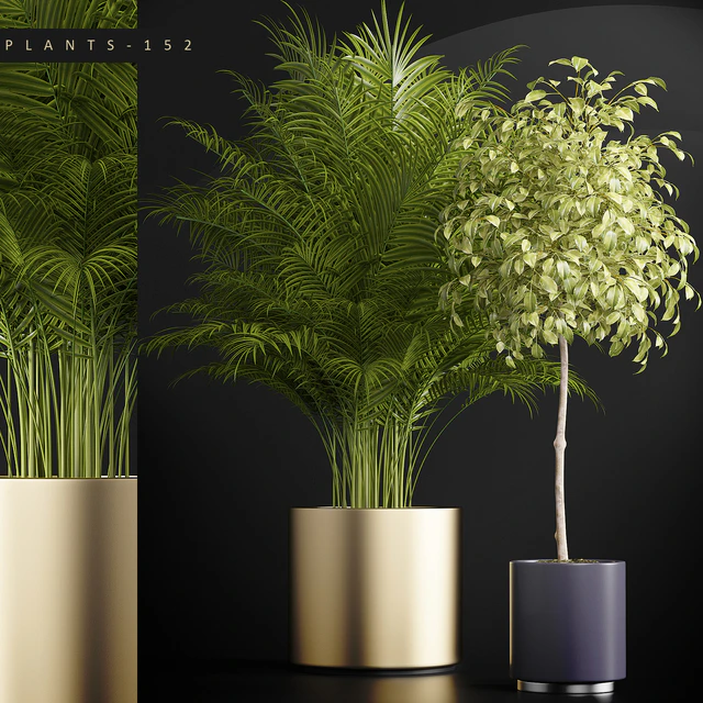 PLANTS 152 — Descargar