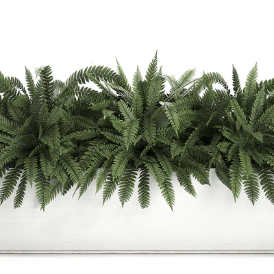 Lush ornamental bushes overgrown in a flowerbed pot with Nephrolepis, fern, outdoor flowerpot. Set 673. — View 3