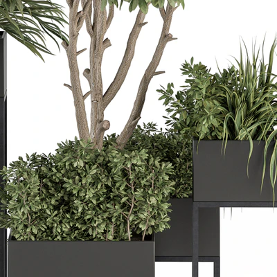 indoor Plant Set 327 - Plant Set in Black Box — Ver 3