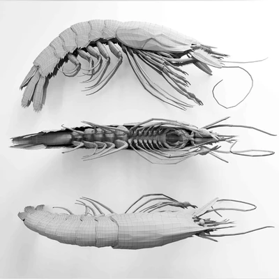 shrimp dish — Вид 3