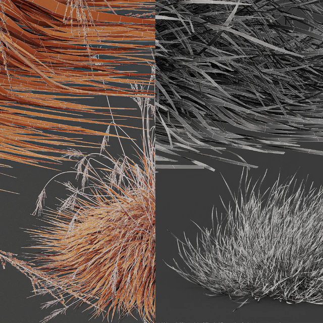 Carex Testacea Orange and Molinia Caerulea Fire Grasses — Скачать