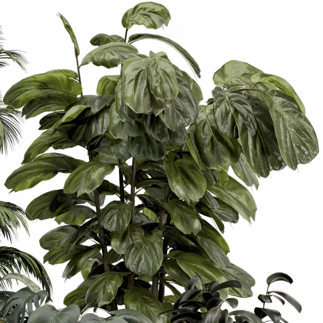Indoor Plants in Ferm Living Bau Pot Large - Set 1361 — Descargar