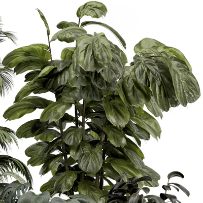 Indoor Plants in Ferm Living Bau Pot Large - Set 1361 — Ver 4