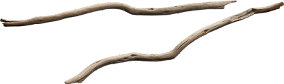 desert western tree branch juniper dead 004 — Скачать