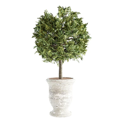 Outdoor Plants 02 - Plants in Concrete Pots — Вид 3
