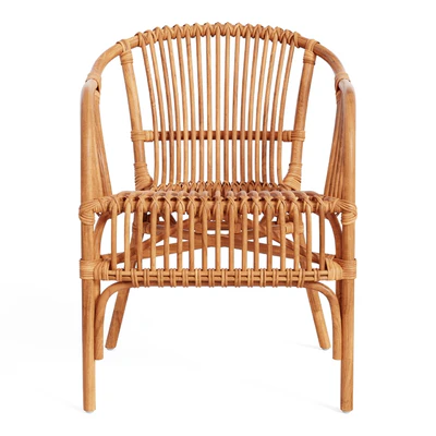 Pari Rattan Chair — Вид 4