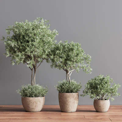 Indoor Plant Set 59 — Ver 5