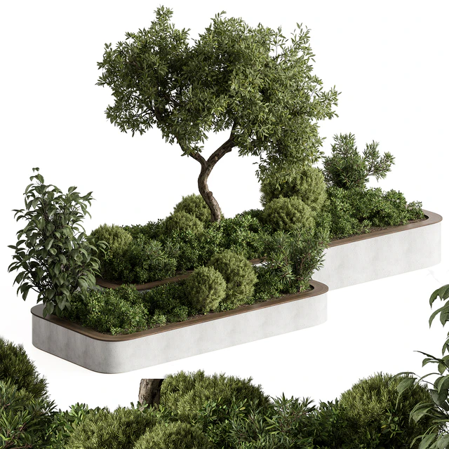 Plant Box - Outdoor Plants 588 — Descargar