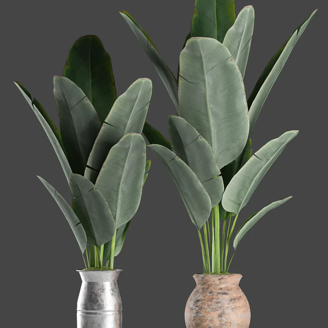 Plants 122 — Descargar