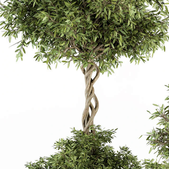 Outdoor Plant Set 241 - Plant in Pot Set — Descargar