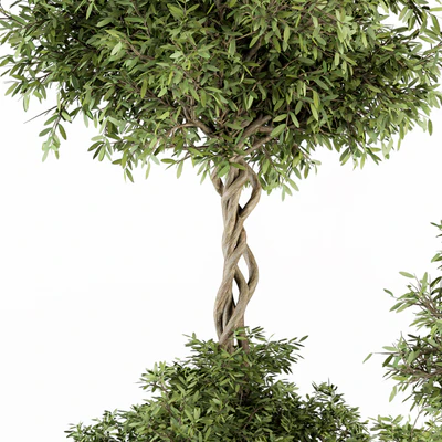 Outdoor Plant Set 241 - Plant in Pot Set — Ver 3