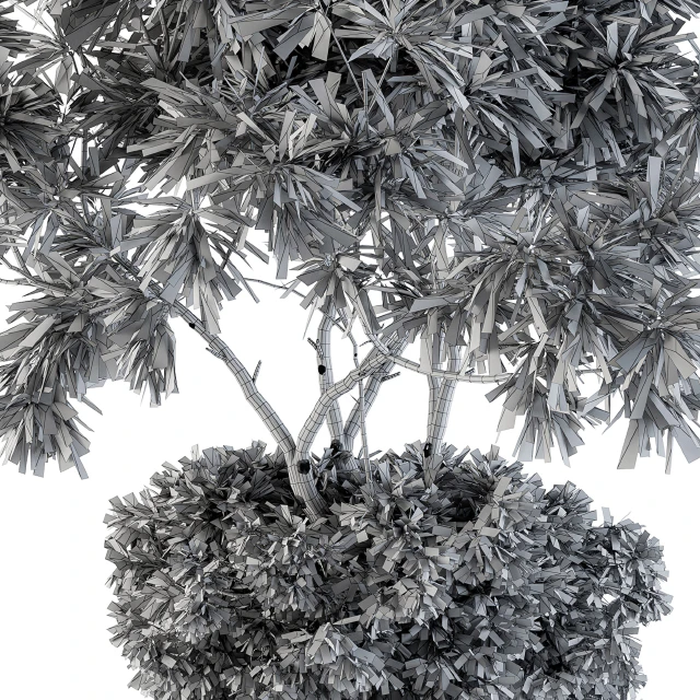 indoor Plant Set 96 - olive — Descargar