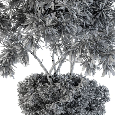 indoor Plant Set 96 - olive — Ver 3