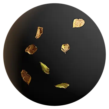 elm leaves 002 — Descargar