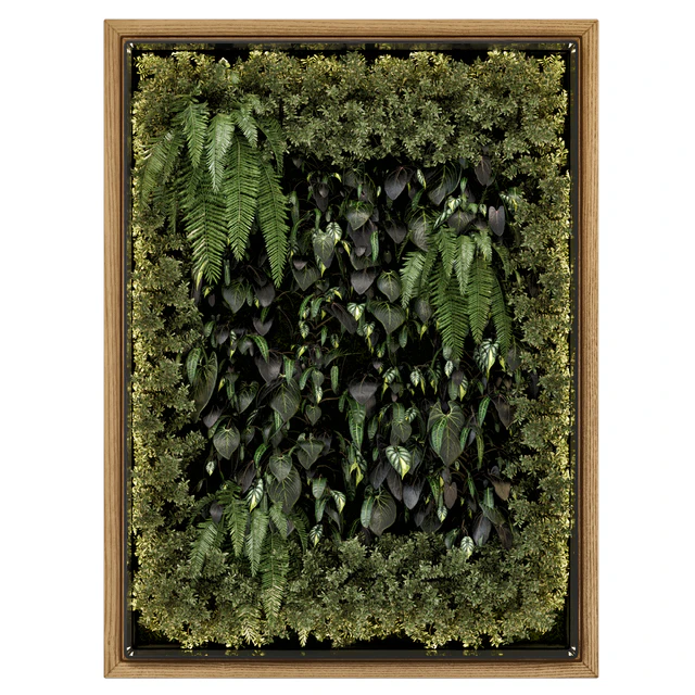 Indoor Wall Vertical Garden in Wooden Base - Set 523 — Download