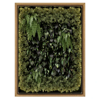 Indoor Wall Vertical Garden in Wooden Base - Set 523 — View 5