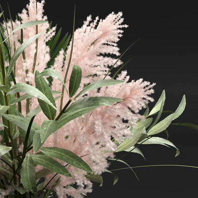 Bouquet. — Ver 4