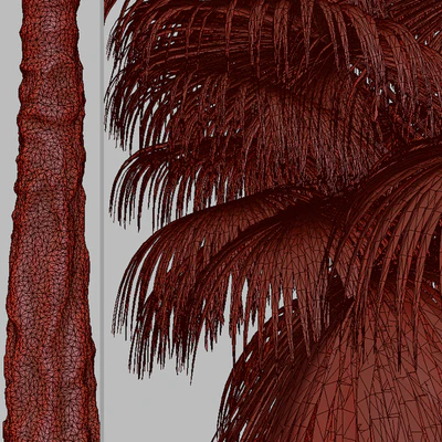 Set of Mexican fan palm Trees (Washingtonia robusta) (3 Trees) — Вид 4