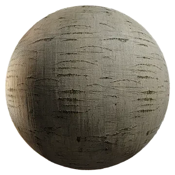 beech bark 002 — Скачать
