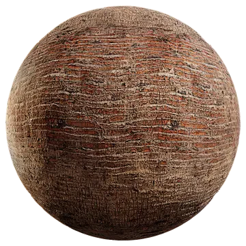 palm bark 003 — Скачать
