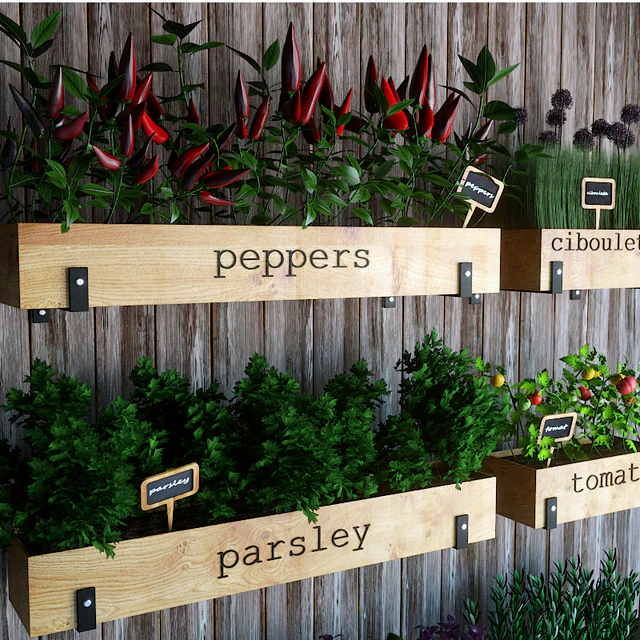 Kitchen garden — Descargar