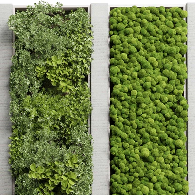 Concrete frame Vertical garden plant and moss garden wall decor box 66 — Ver 6