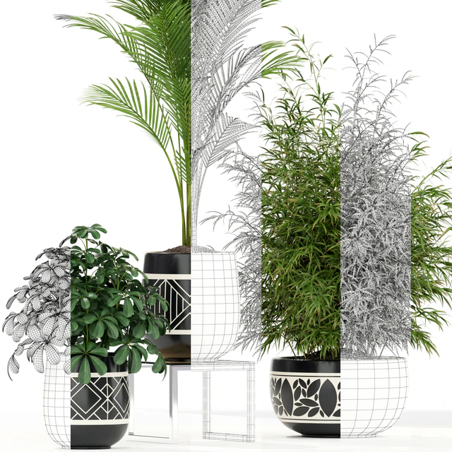 Plants collection 181 — Descargar