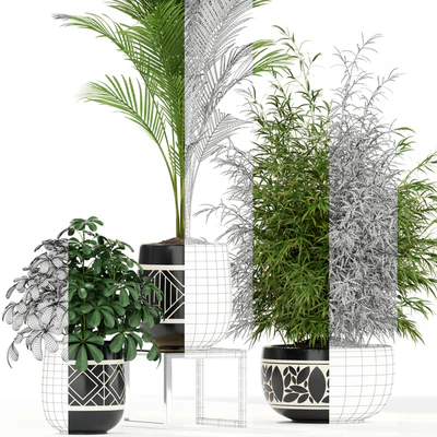 Plants collection 181 — Ver 2