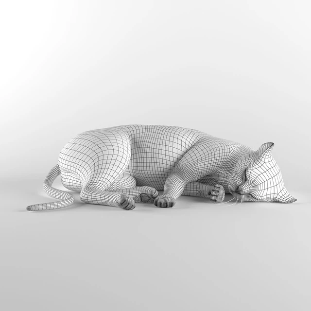 CAT — Descargar