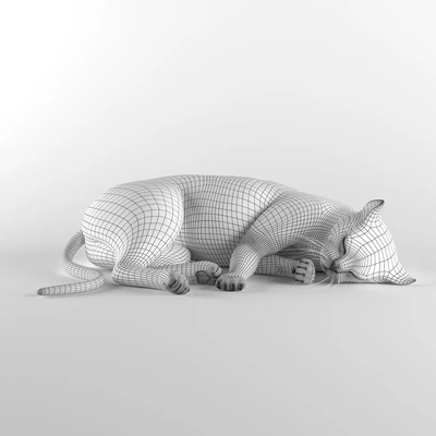 CAT — Ver 3
