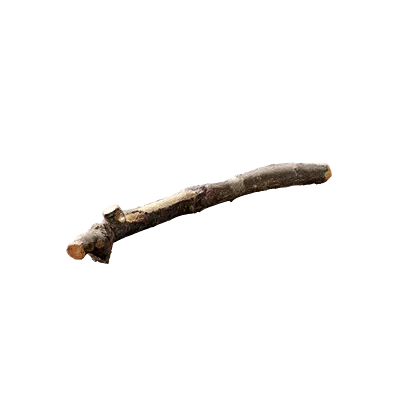 tree debris 021 — Descargar