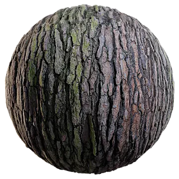 pine tree bark 001 — Скачать