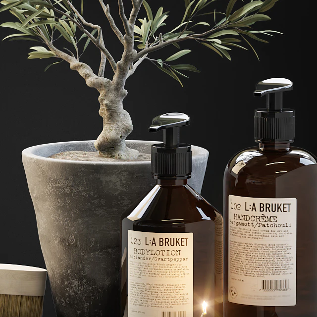 Tiny bonsai olive tree in stone pot with decor set for bathroom — Descargar