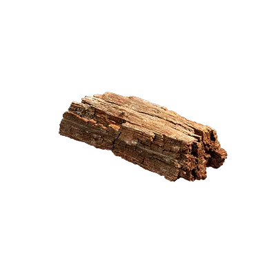pine wood debris 004 — Скачать
