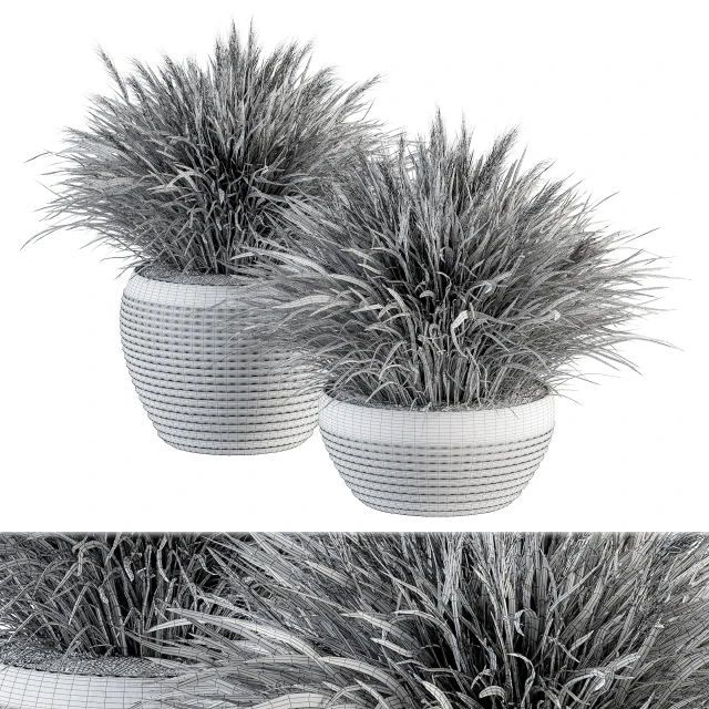 Outdoor Plant Set 196 - Green Grass in Pot — Descargar