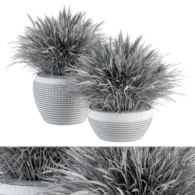 Outdoor Plant Set 196 - Green Grass in Pot — Ver 3