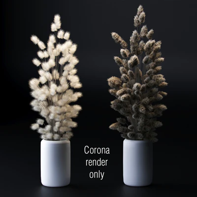 Bouquet of dried flowers. 2 models — descargar