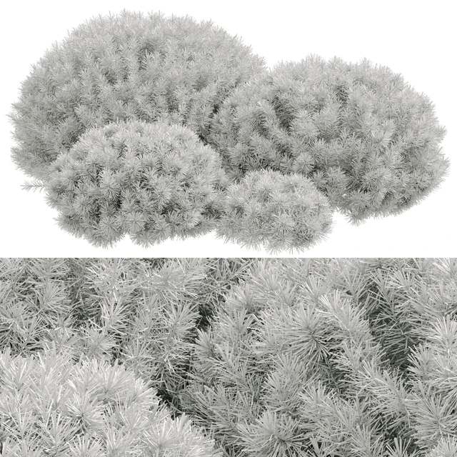Plants Bush Collection Set 03 pine mugo — Скачать