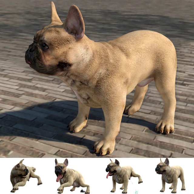 French Bulldog — Download