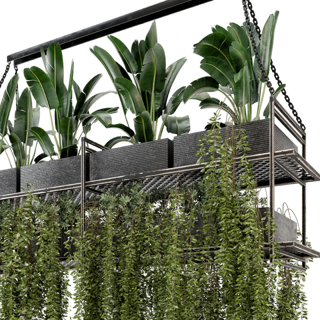 Indoor Hanging Plants in Metal Box - Set 269 — Descargar