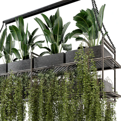Indoor Hanging Plants in Metal Box - Set 269 — Ver 4