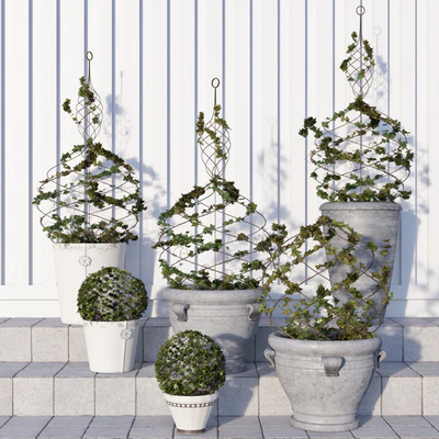 Pottery Barn/Live Ivy Spiral Topiary — Вид 1